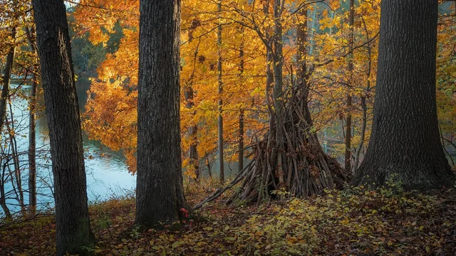 No single filming site, each of the three head-to-head competitors in a given episode builds on their own home turf/terrain across the continental US (contestants' home regions include Georgia/Ohio/Virginia, Washington State, Arizona/Iowa, Oregon, Idaho, Florida/Idaho, and Indiana); the judge does not appear on-site. landscape