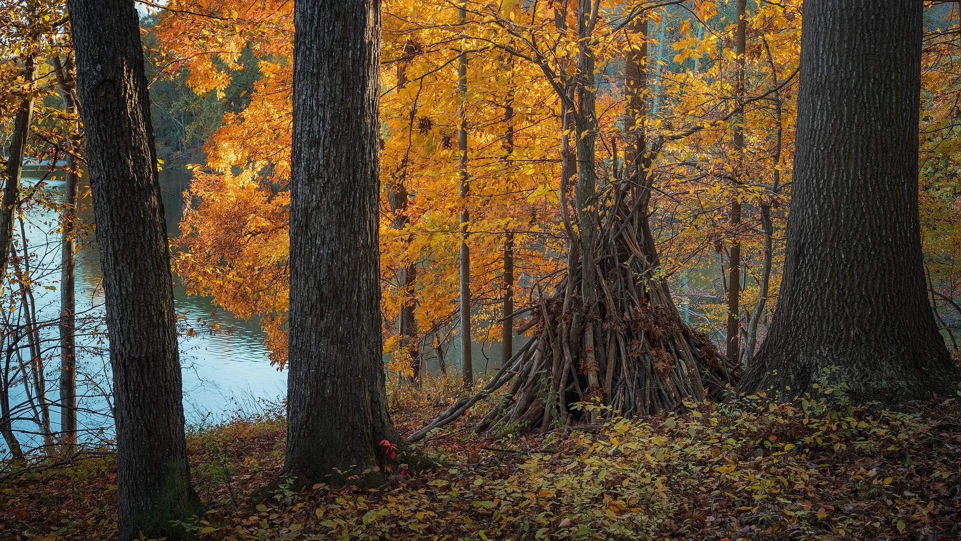 No single filming site, each of the three head-to-head competitors in a given episode builds on their own home turf/terrain across the continental US (contestants' home regions include Georgia/Ohio/Virginia, Washington State, Arizona/Iowa, Oregon, Idaho, Florida/Idaho, and Indiana); the judge does not appear on-site. landscape