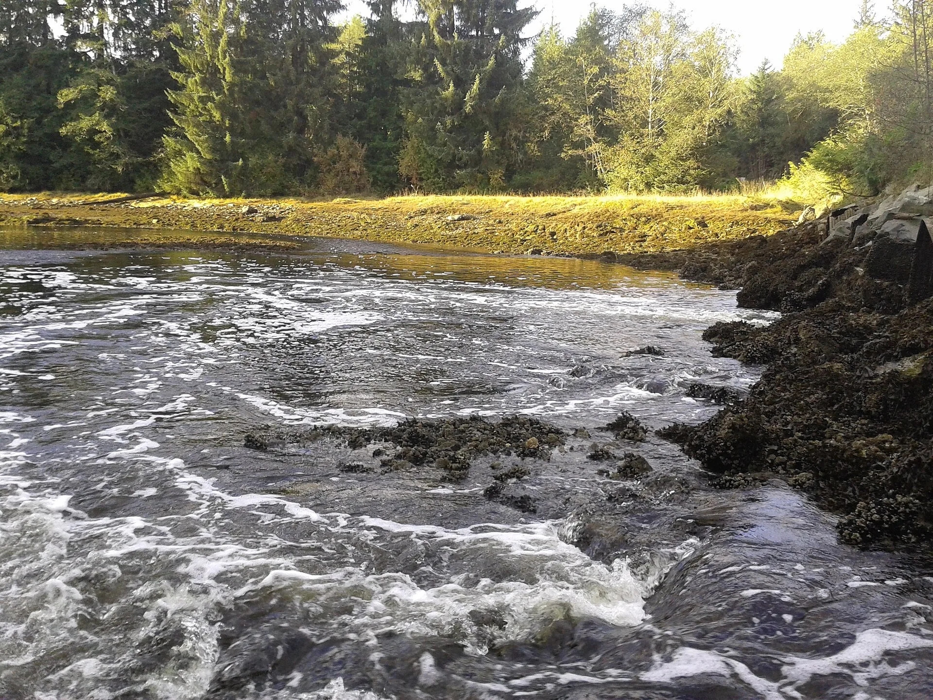 Quatsino Territory, Northern Vancouver Island, British Columbia landscape